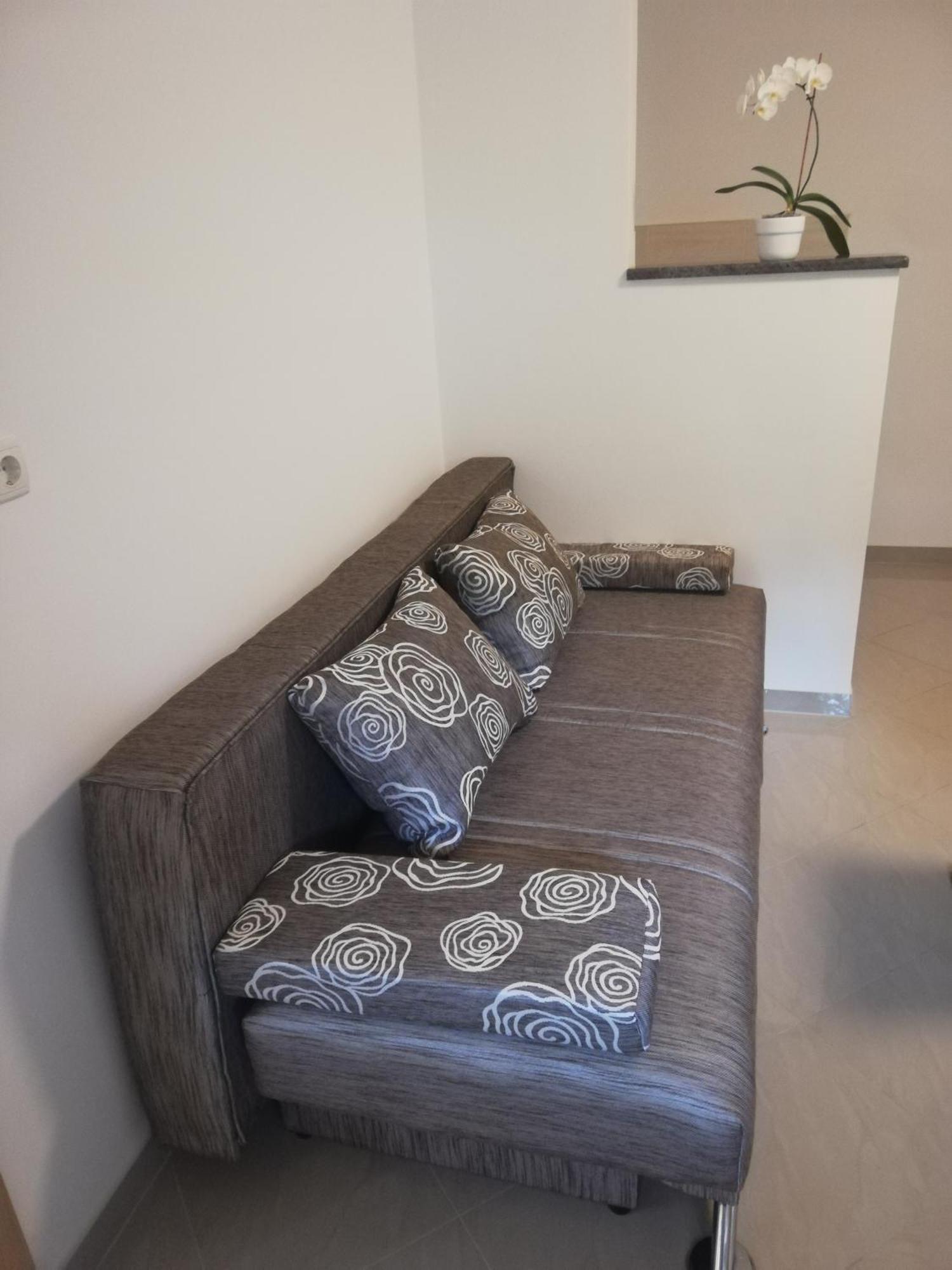 Guesthouse Vesna سينج المظهر الخارجي الصورة